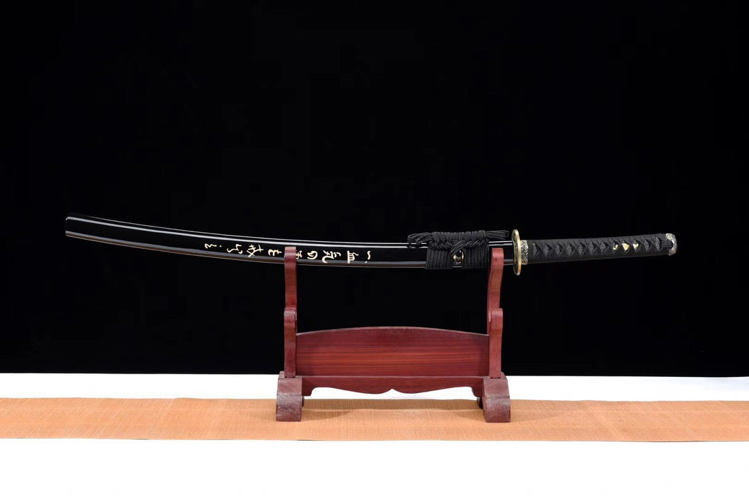 Sora no Kage Katana Warrior