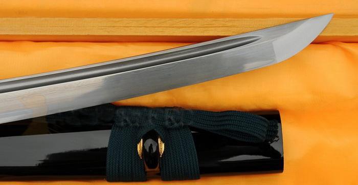 Hikari no Ki Wakizashi Iron Tsuba